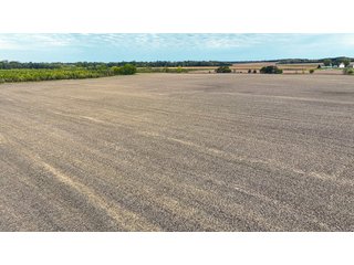 Property photo 9 - REAL ESTATE AUCTION - 152+/- ACRES OFFERED IN 6 TRACTS IN ADAMS COUNTY, INDIANA