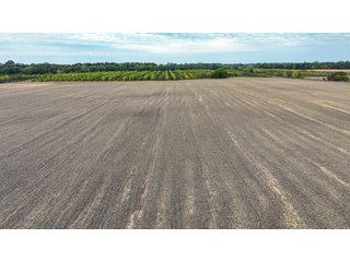 Property photo 17 - REAL ESTATE AUCTION - 152+/- ACRES OFFERED IN 6 TRACTS IN ADAMS COUNTY, INDIANA