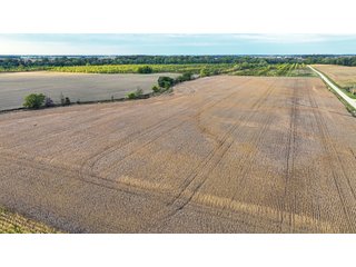Property photo 13 - REAL ESTATE AUCTION - 152+/- ACRES OFFERED IN 6 TRACTS IN ADAMS COUNTY, INDIANA