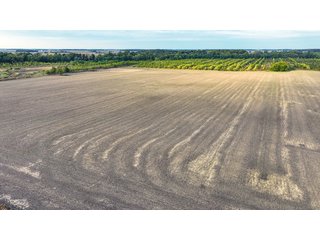 Property photo 12 - REAL ESTATE AUCTION - 152+/- ACRES OFFERED IN 6 TRACTS IN ADAMS COUNTY, INDIANA