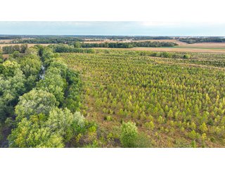 Property photo 10 - REAL ESTATE AUCTION - 152+/- ACRES OFFERED IN 6 TRACTS IN ADAMS COUNTY, INDIANA