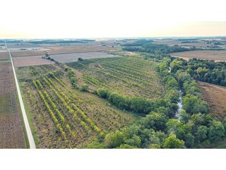 Property photo 1 - REAL ESTATE AUCTION - 152+/- ACRES OFFERED IN 6 TRACTS IN ADAMS COUNTY, INDIANA
