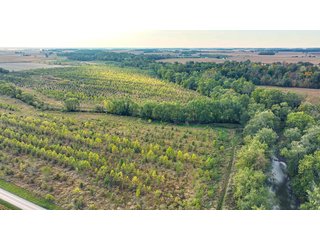 Property photo 8 - REAL ESTATE AUCTION - 152+/- ACRES OFFERED IN 6 TRACTS IN ADAMS COUNTY, INDIANA