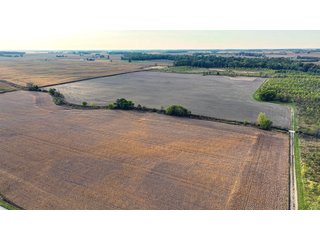 Property photo 7 - REAL ESTATE AUCTION - 152+/- ACRES OFFERED IN 6 TRACTS IN ADAMS COUNTY, INDIANA