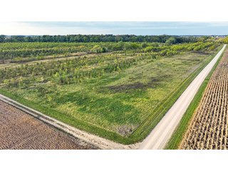 Property photo 6 - REAL ESTATE AUCTION - 152+/- ACRES OFFERED IN 6 TRACTS IN ADAMS COUNTY, INDIANA