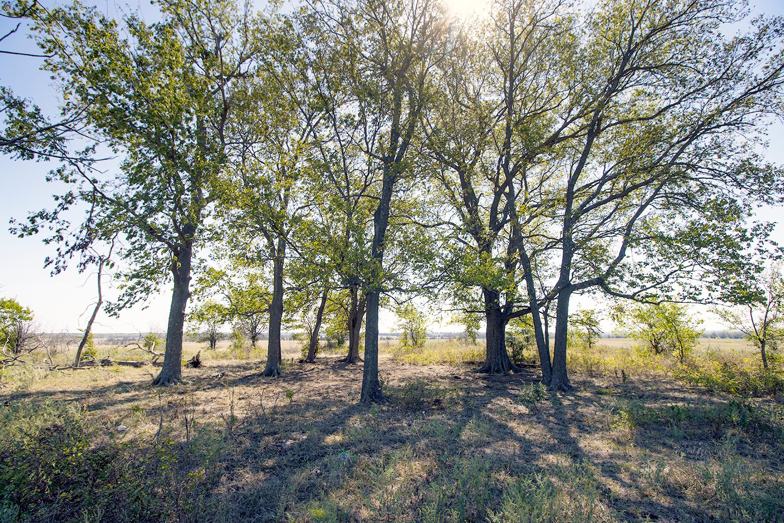 Property photo 22 - Kansas Flint Hills Hunting and Pasture Auction - 470+/- Acres Offered in 6 Tracts in Elk County, Kansas