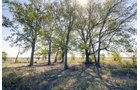 Property photo 22 - Kansas Flint Hills Hunting and Pasture Auction - 470+/- Acres Offered in 6 Tracts in Elk County, Kansas