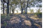 Property photo 23 - Kansas Flint Hills Hunting and Pasture Auction - 470+/- Acres Offered in 6 Tracts in Elk County, Kansas
