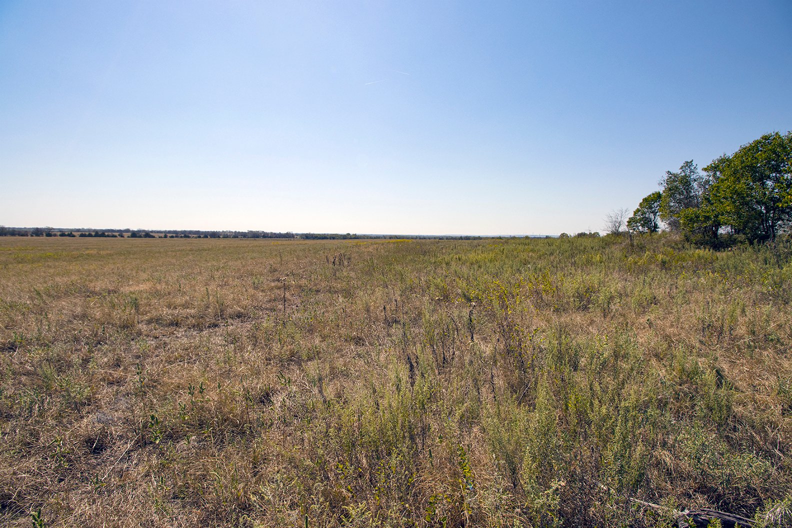 Property photo 24 - Kansas Flint Hills Hunting and Pasture Auction - 470+/- Acres Offered in 6 Tracts in Elk County, Kansas