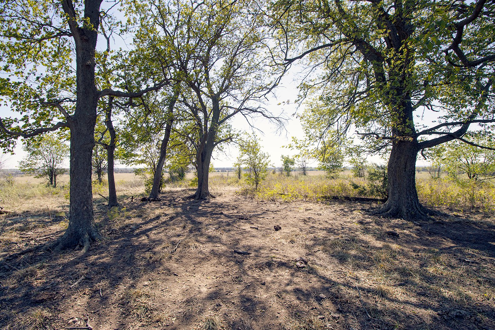 Property photo 25 - Kansas Flint Hills Hunting and Pasture Auction - 470+/- Acres Offered in 6 Tracts in Elk County, Kansas