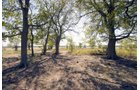 Property photo 25 - Kansas Flint Hills Hunting and Pasture Auction - 470+/- Acres Offered in 6 Tracts in Elk County, Kansas