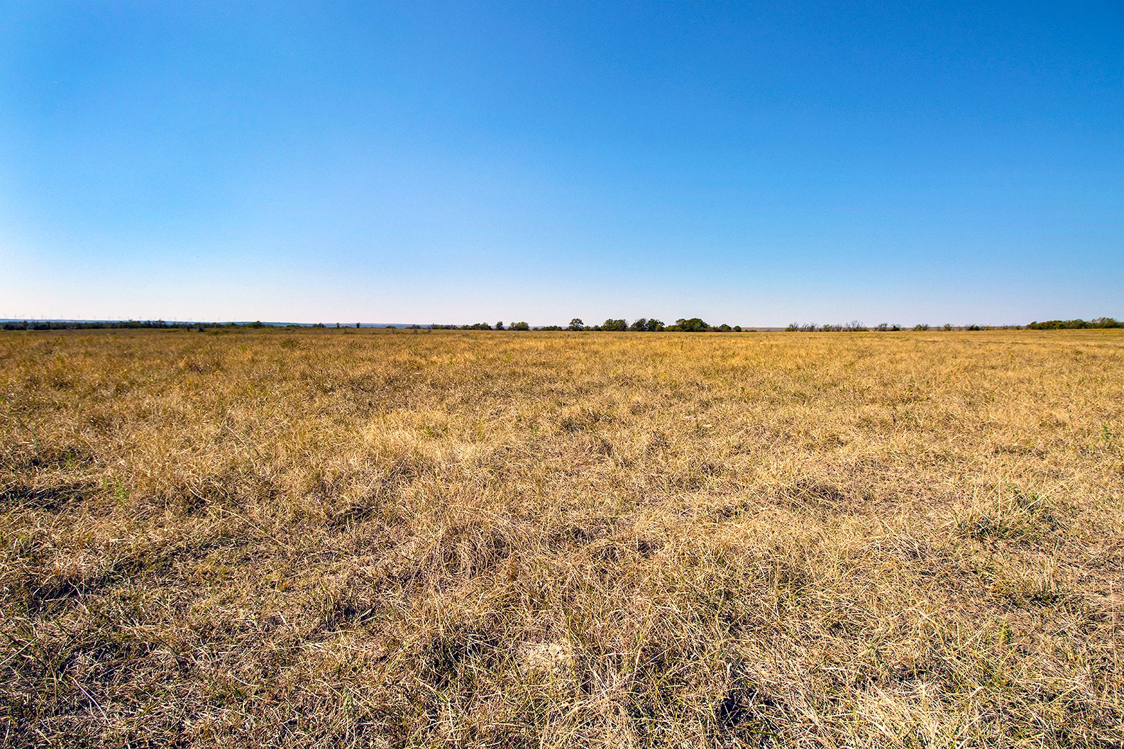 Property photo 26 - Kansas Flint Hills Hunting and Pasture Auction - 470+/- Acres Offered in 6 Tracts in Elk County, Kansas