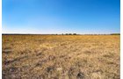 Property photo 26 - Kansas Flint Hills Hunting and Pasture Auction - 470+/- Acres Offered in 6 Tracts in Elk County, Kansas