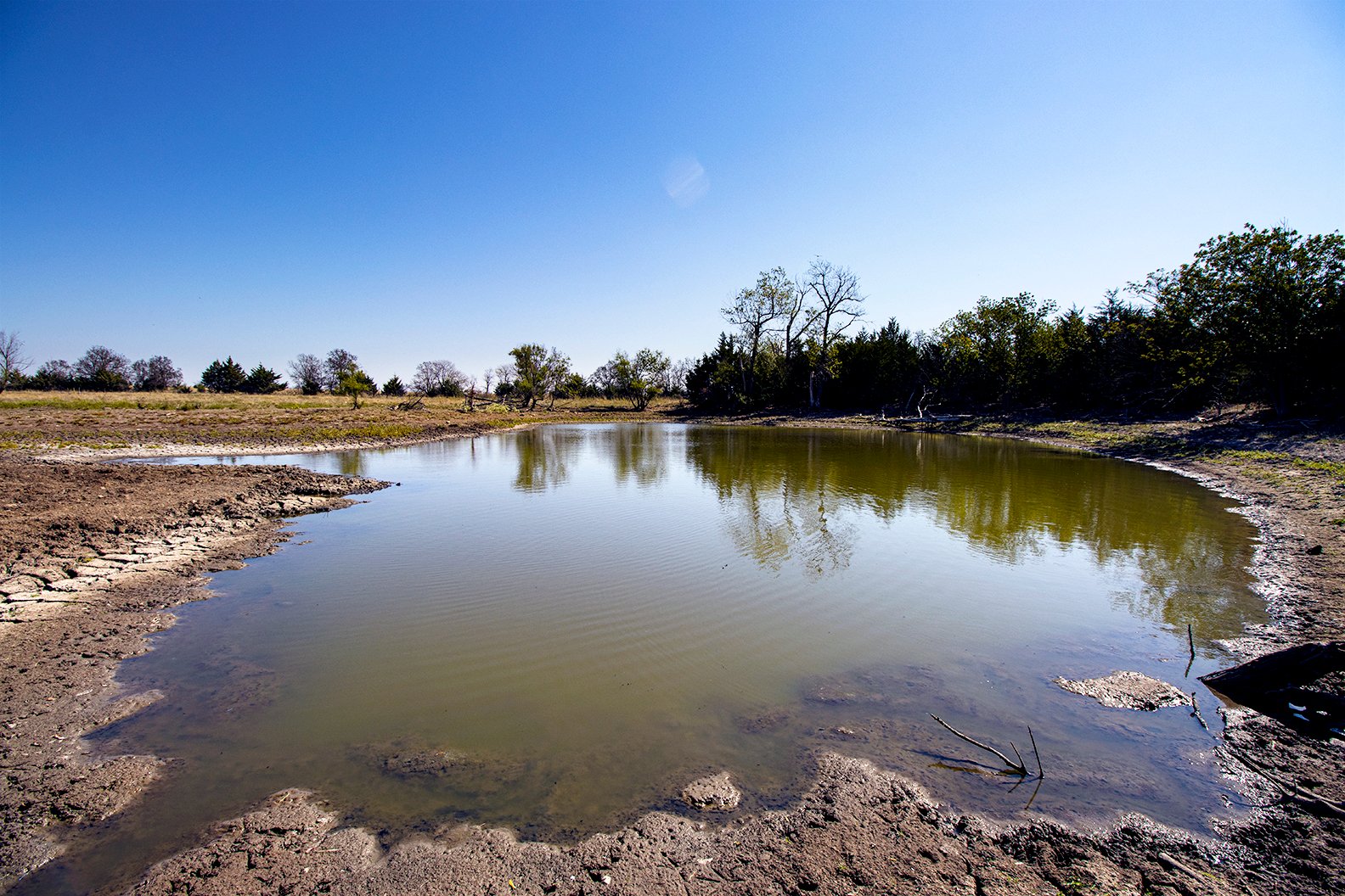 Property photo 29 - Kansas Flint Hills Hunting and Pasture Auction - 470+/- Acres Offered in 6 Tracts in Elk County, Kansas