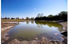 Property photo 29 - Kansas Flint Hills Hunting and Pasture Auction - 470+/- Acres Offered in 6 Tracts in Elk County, Kansas