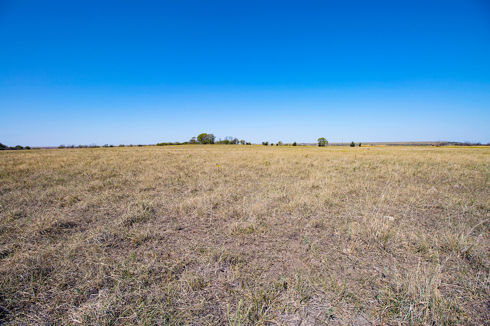 Property photo 30 - Kansas Flint Hills Hunting and Pasture Auction - 470+/- Acres Offered in 6 Tracts in Elk County, Kansas