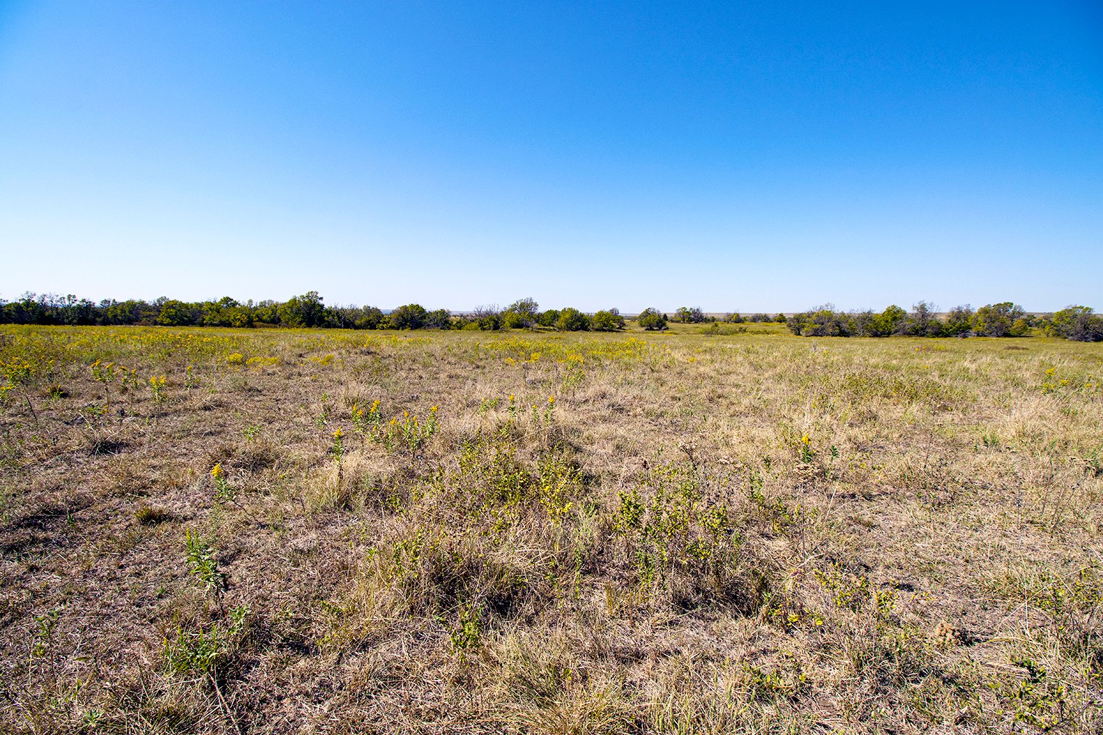 Property photo 31 - Kansas Flint Hills Hunting and Pasture Auction - 470+/- Acres Offered in 6 Tracts in Elk County, Kansas