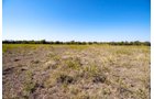 Property photo 31 - Kansas Flint Hills Hunting and Pasture Auction - 470+/- Acres Offered in 6 Tracts in Elk County, Kansas