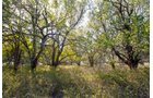 Property photo 20 - Kansas Flint Hills Hunting and Pasture Auction - 470+/- Acres Offered in 6 Tracts in Elk County, Kansas