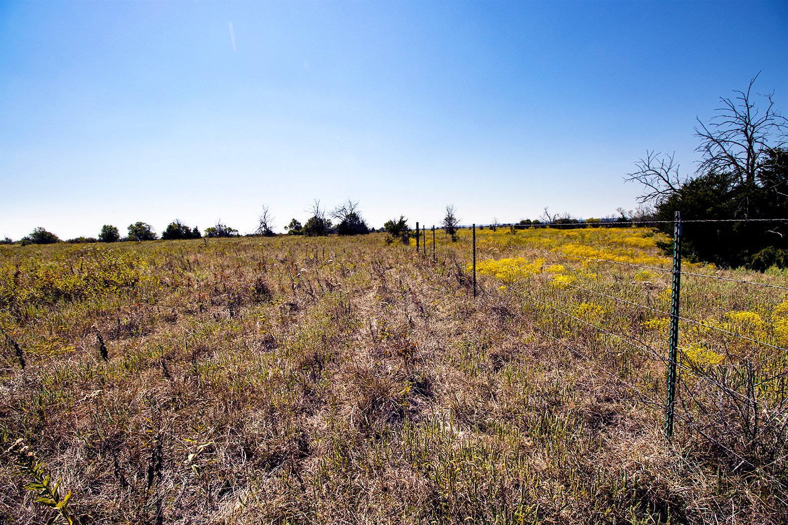 Property photo 33 - Kansas Flint Hills Hunting and Pasture Auction - 470+/- Acres Offered in 6 Tracts in Elk County, Kansas