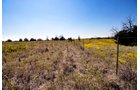 Property photo 33 - Kansas Flint Hills Hunting and Pasture Auction - 470+/- Acres Offered in 6 Tracts in Elk County, Kansas