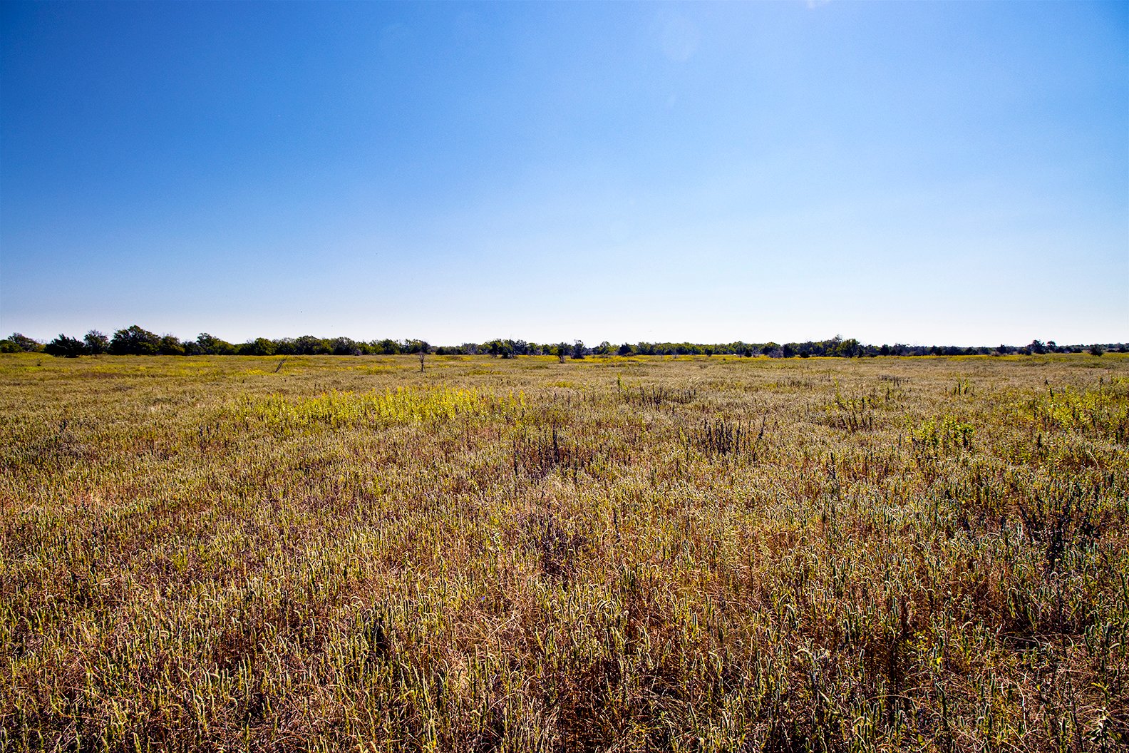 Property photo 34 - Kansas Flint Hills Hunting and Pasture Auction - 470+/- Acres Offered in 6 Tracts in Elk County, Kansas
