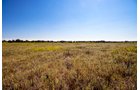 Property photo 34 - Kansas Flint Hills Hunting and Pasture Auction - 470+/- Acres Offered in 6 Tracts in Elk County, Kansas
