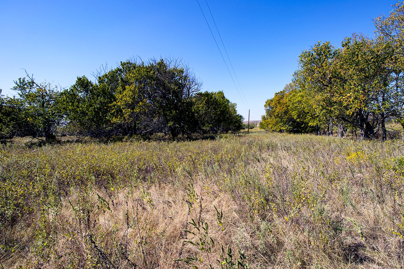 Property photo 35 - Kansas Flint Hills Hunting and Pasture Auction - 470+/- Acres Offered in 6 Tracts in Elk County, Kansas