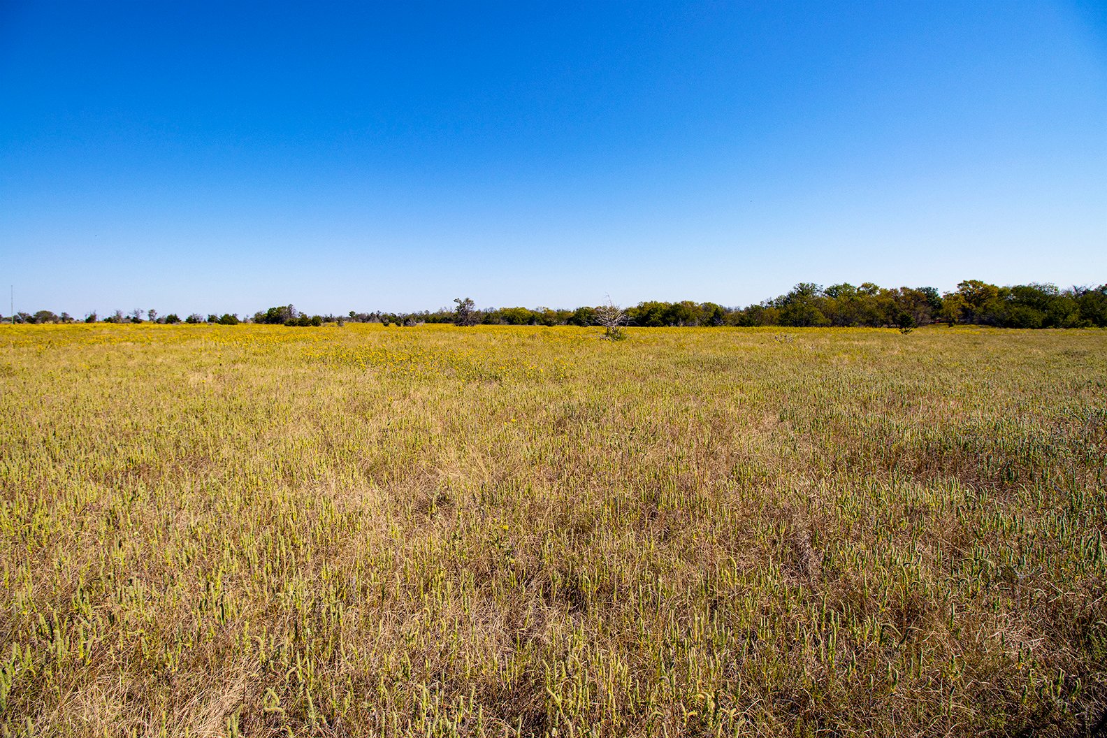 Property photo 37 - Kansas Flint Hills Hunting and Pasture Auction - 470+/- Acres Offered in 6 Tracts in Elk County, Kansas