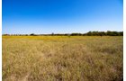 Property photo 37 - Kansas Flint Hills Hunting and Pasture Auction - 470+/- Acres Offered in 6 Tracts in Elk County, Kansas
