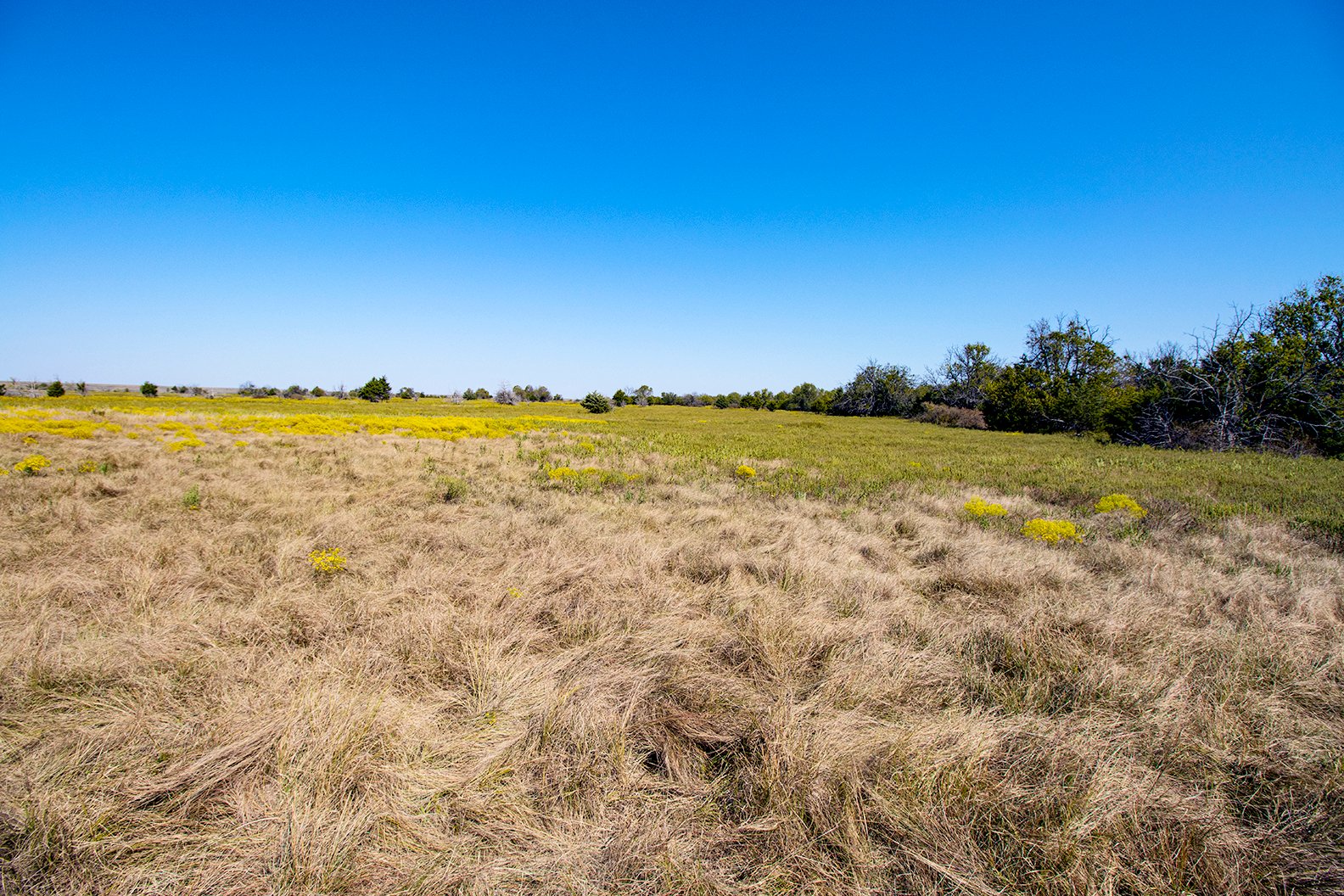 Property photo 40 - Kansas Flint Hills Hunting and Pasture Auction - 470+/- Acres Offered in 6 Tracts in Elk County, Kansas