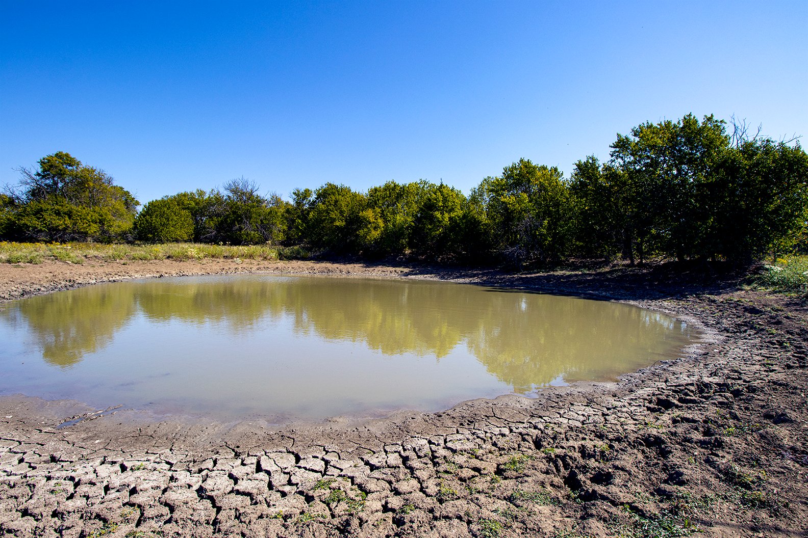 Property photo 41 - Kansas Flint Hills Hunting and Pasture Auction - 470+/- Acres Offered in 6 Tracts in Elk County, Kansas