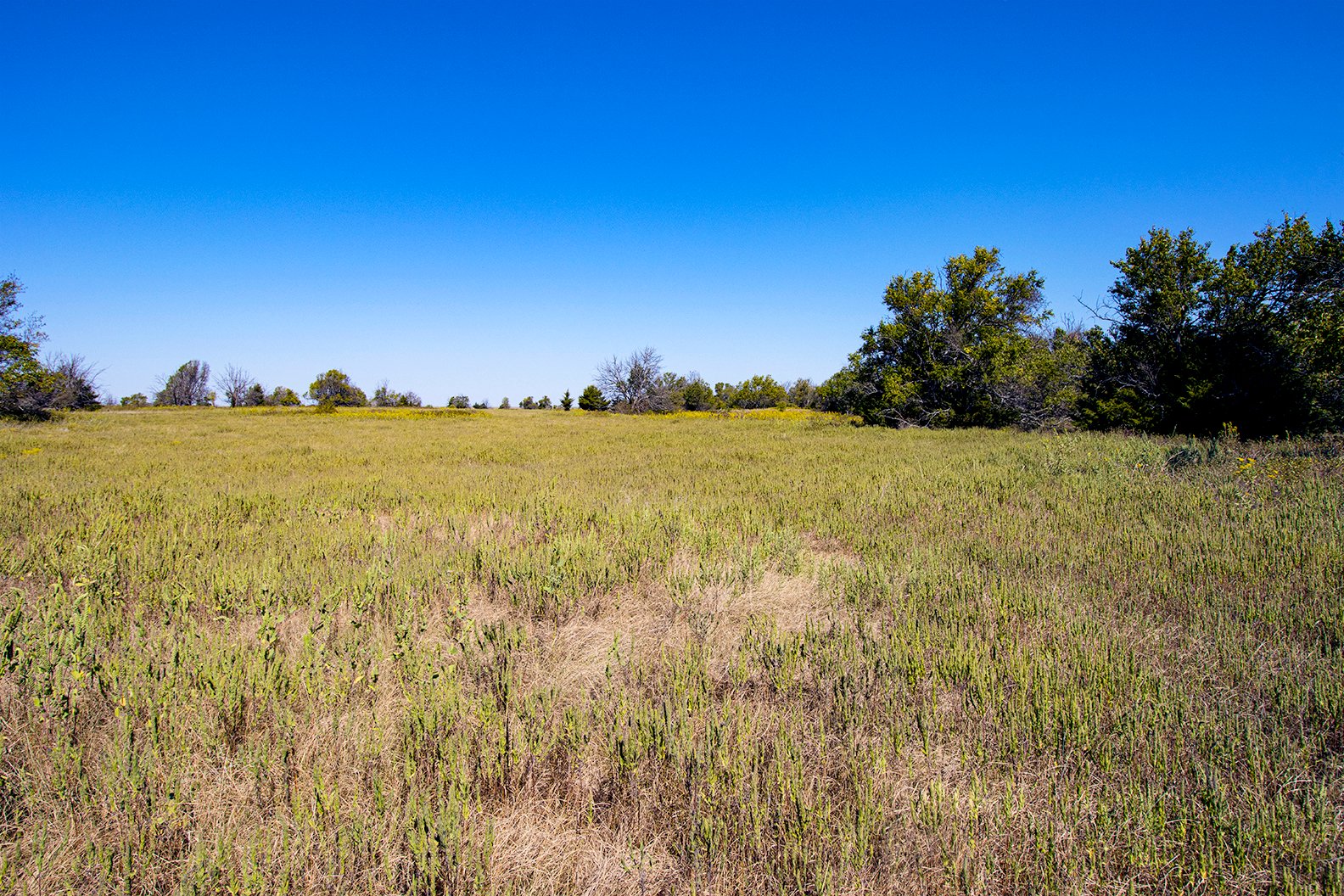 Property photo 42 - Kansas Flint Hills Hunting and Pasture Auction - 470+/- Acres Offered in 6 Tracts in Elk County, Kansas