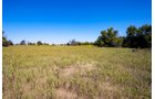 Property photo 42 - Kansas Flint Hills Hunting and Pasture Auction - 470+/- Acres Offered in 6 Tracts in Elk County, Kansas