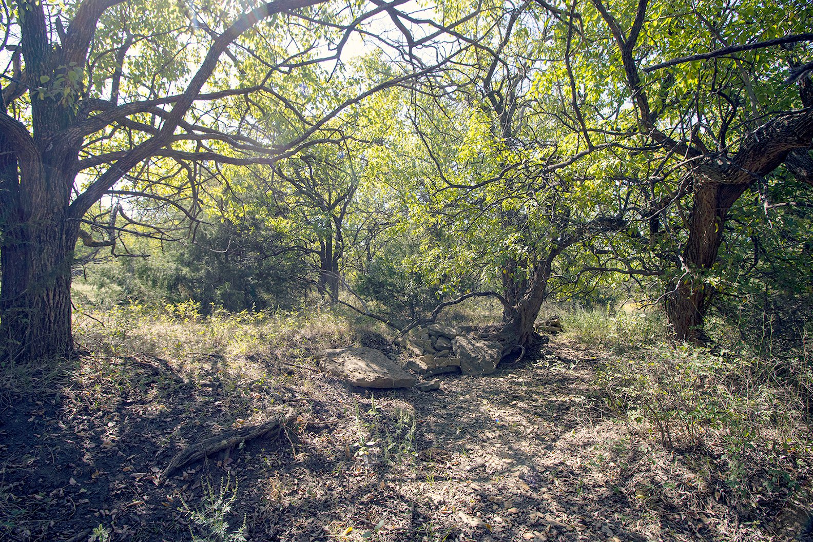 Property photo 2 - Kansas Flint Hills Hunting and Pasture Auction - 470+/- Acres Offered in 6 Tracts in Elk County, Kansas