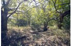 Property photo 2 - Kansas Flint Hills Hunting and Pasture Auction - 470+/- Acres Offered in 6 Tracts in Elk County, Kansas