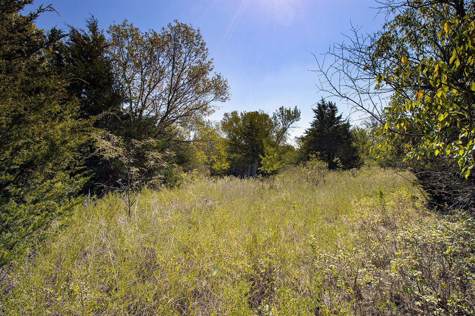 Property photo 1 - Kansas Flint Hills Hunting and Pasture Auction - 470+/- Acres Offered in 6 Tracts in Elk County, Kansas