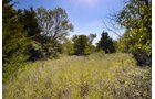 Property photo 1 - Kansas Flint Hills Hunting and Pasture Auction - 470+/- Acres Offered in 6 Tracts in Elk County, Kansas