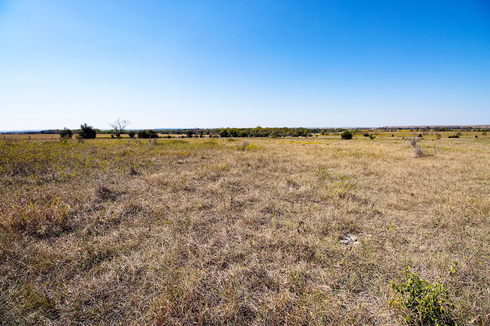 Property photo 5 - Kansas Flint Hills Hunting and Pasture Auction - 470+/- Acres Offered in 6 Tracts in Elk County, Kansas