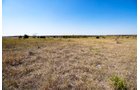 Property photo 5 - Kansas Flint Hills Hunting and Pasture Auction - 470+/- Acres Offered in 6 Tracts in Elk County, Kansas