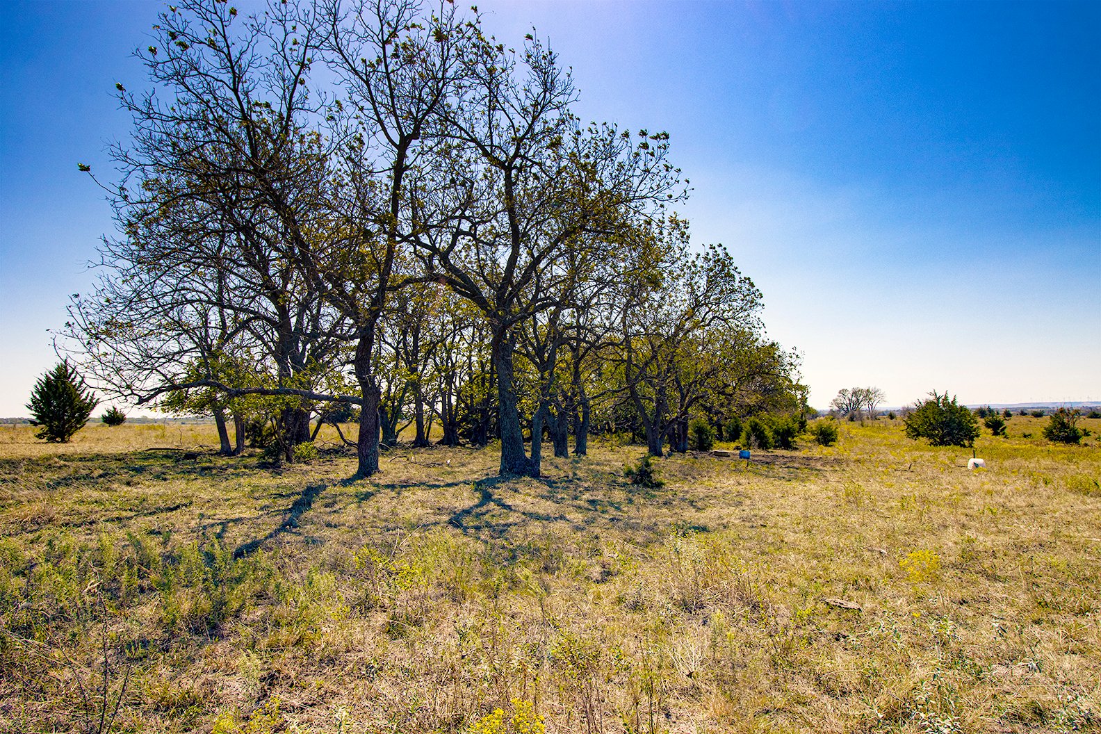 Property photo 6 - Kansas Flint Hills Hunting and Pasture Auction - 470+/- Acres Offered in 6 Tracts in Elk County, Kansas