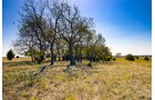 Property photo 6 - Kansas Flint Hills Hunting and Pasture Auction - 470+/- Acres Offered in 6 Tracts in Elk County, Kansas