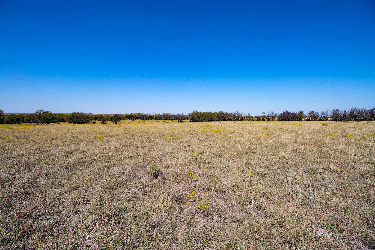 Property photo 8 - Kansas Flint Hills Hunting and Pasture Auction - 470+/- Acres Offered in 6 Tracts in Elk County, Kansas