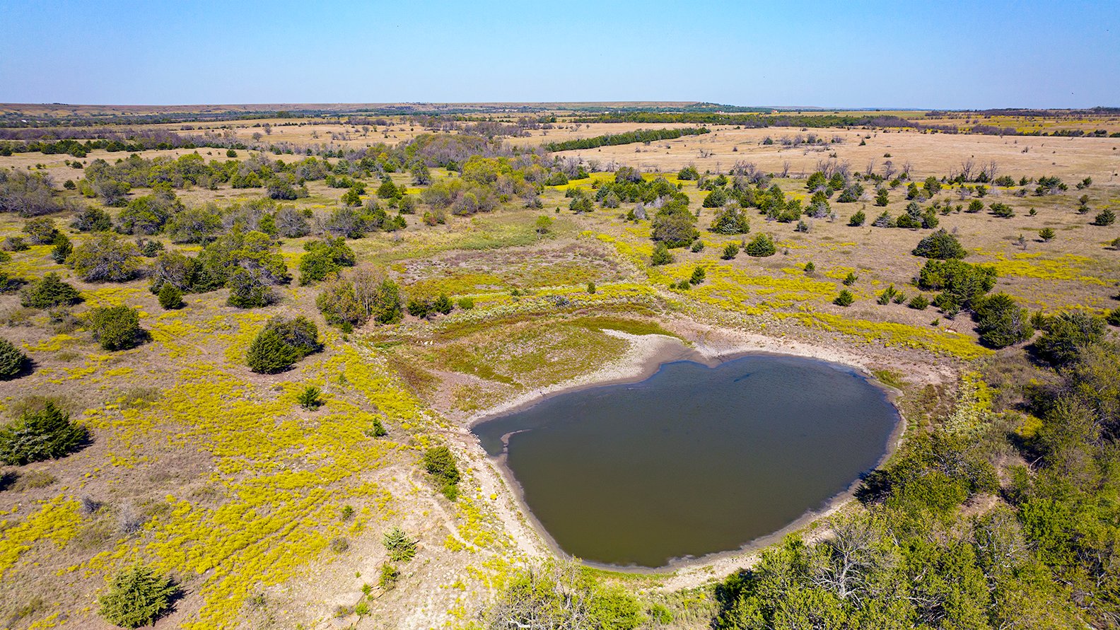 Property photo 11 - Kansas Flint Hills Hunting and Pasture Auction - 470+/- Acres Offered in 6 Tracts in Elk County, Kansas