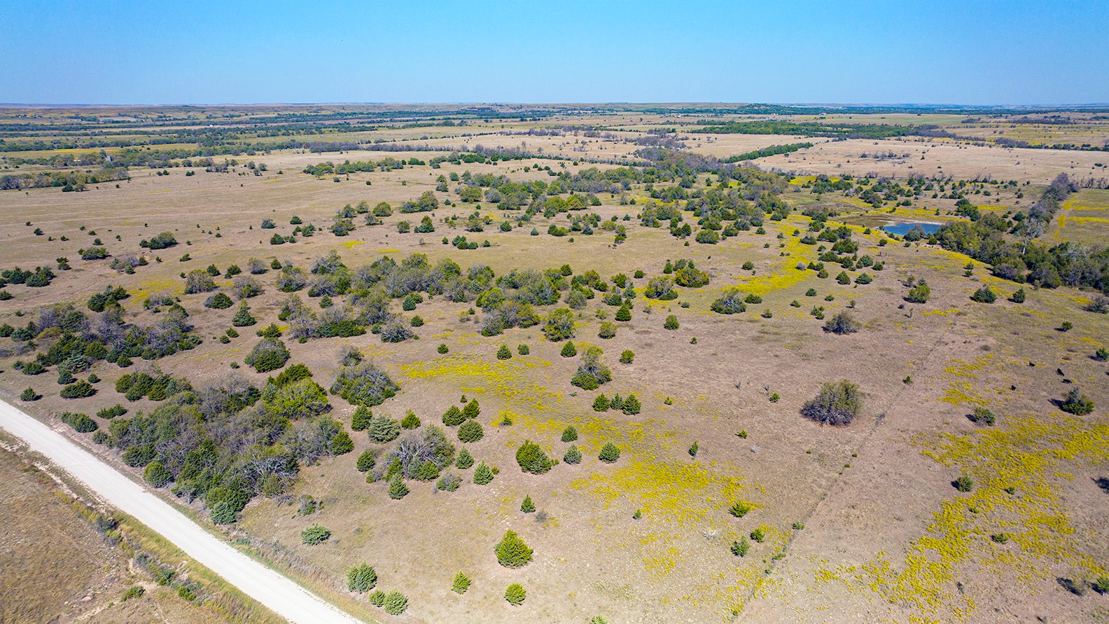 Property photo 12 - Kansas Flint Hills Hunting and Pasture Auction - 470+/- Acres Offered in 6 Tracts in Elk County, Kansas