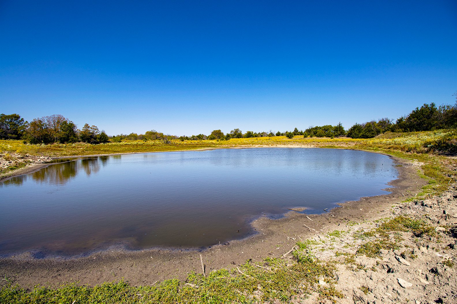 Property photo 13 - Kansas Flint Hills Hunting and Pasture Auction - 470+/- Acres Offered in 6 Tracts in Elk County, Kansas