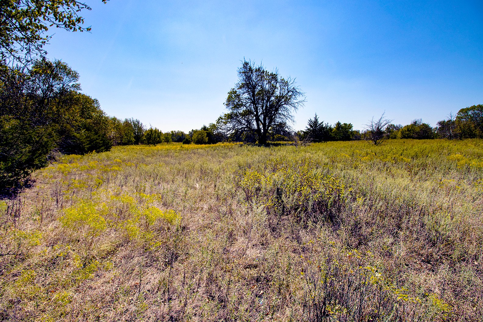 Property photo 15 - Kansas Flint Hills Hunting and Pasture Auction - 470+/- Acres Offered in 6 Tracts in Elk County, Kansas