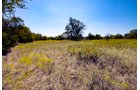 Property photo 15 - Kansas Flint Hills Hunting and Pasture Auction - 470+/- Acres Offered in 6 Tracts in Elk County, Kansas