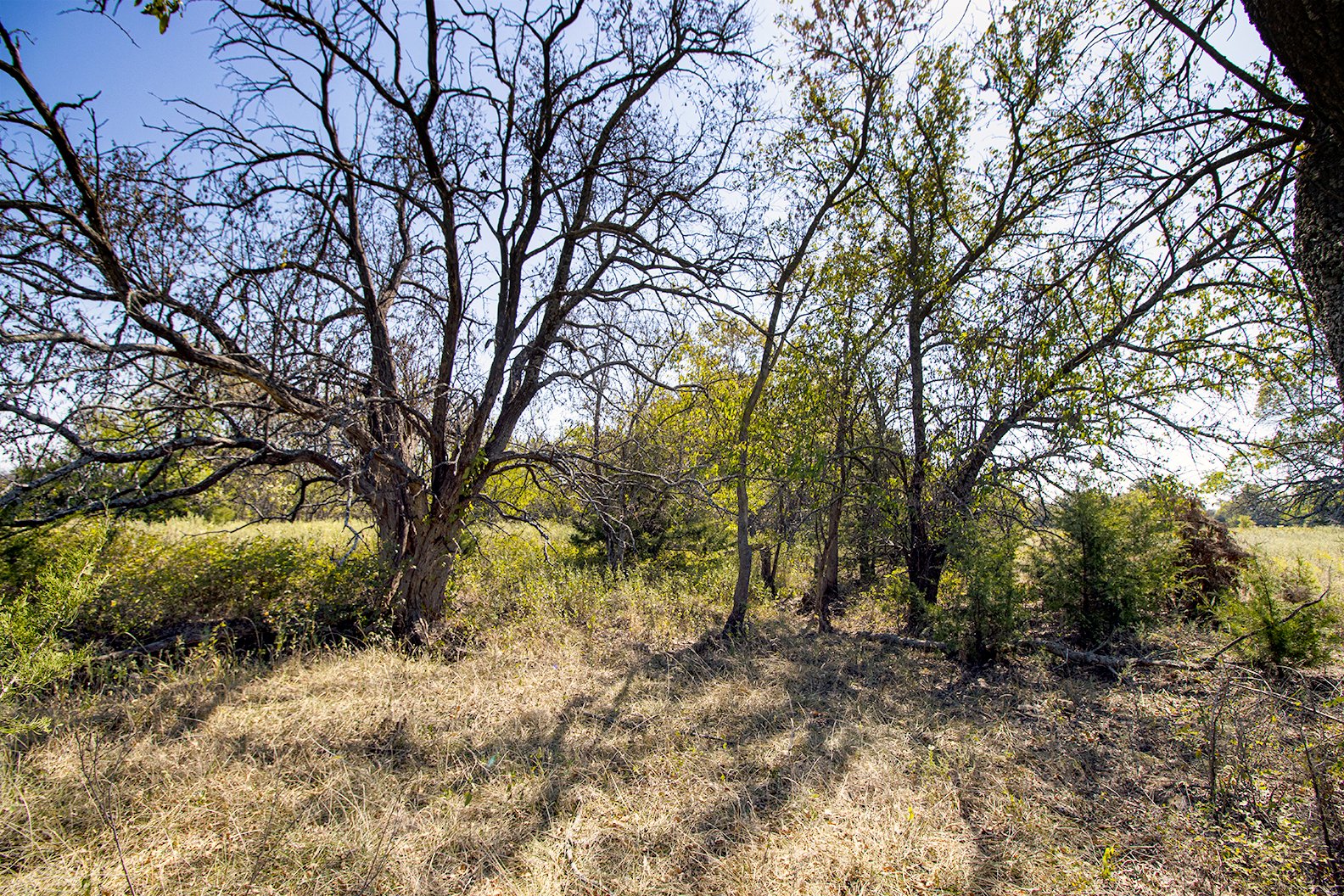 Property photo 17 - Kansas Flint Hills Hunting and Pasture Auction - 470+/- Acres Offered in 6 Tracts in Elk County, Kansas