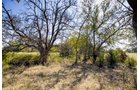 Property photo 17 - Kansas Flint Hills Hunting and Pasture Auction - 470+/- Acres Offered in 6 Tracts in Elk County, Kansas